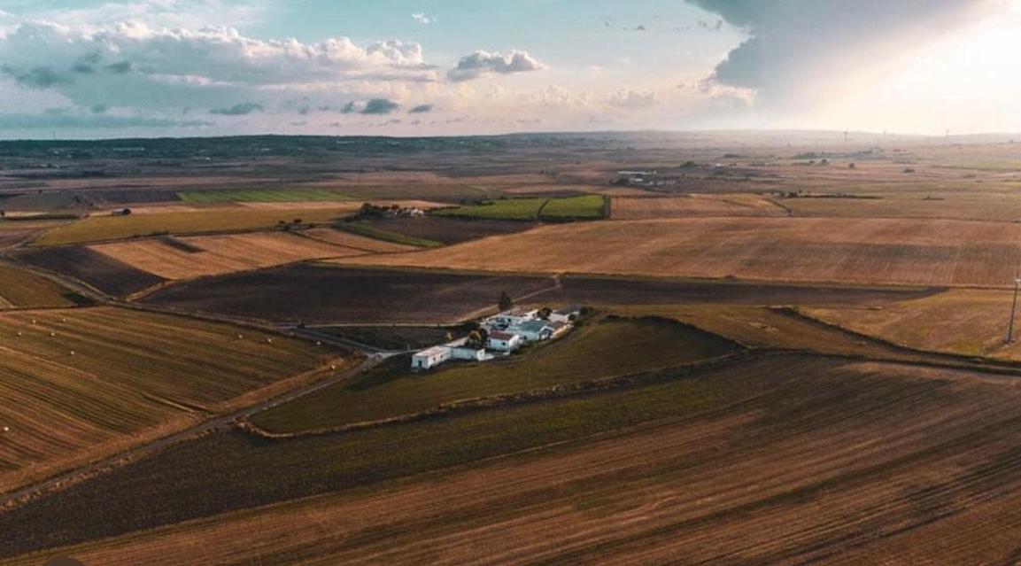 Masseria 25 Anni Laterza